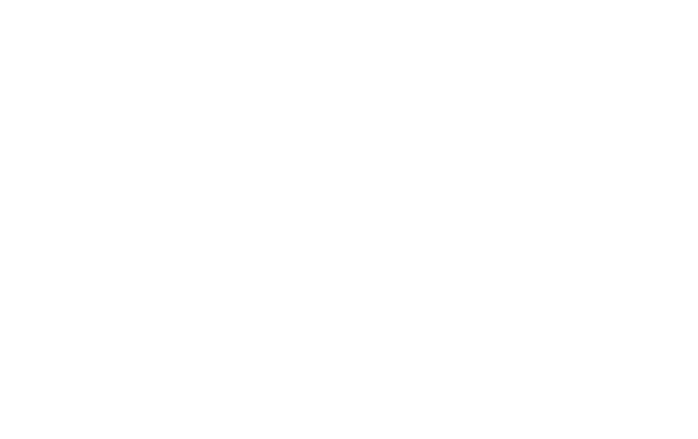 Logo CARFLEX